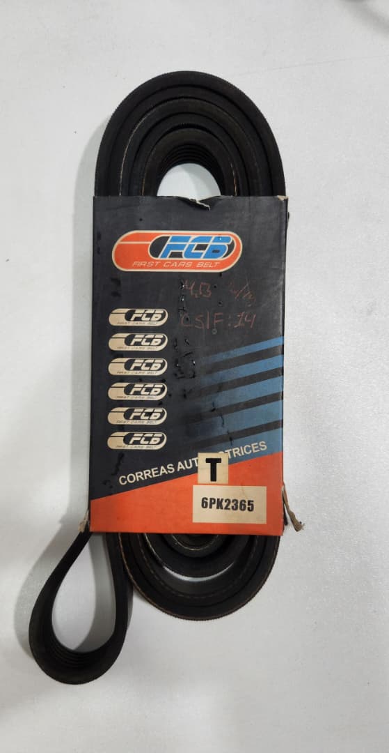 6PK2365 Correa Multicanal FCB