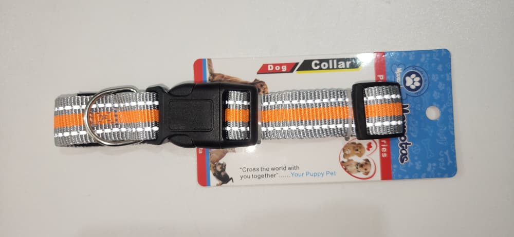 Collar Mascotas Caninos Accesorio