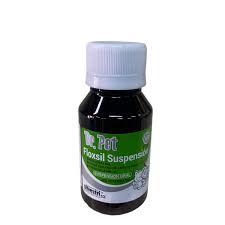 Floxsil 50 ml, Dr Pet, Suspensión Canino y Felino $