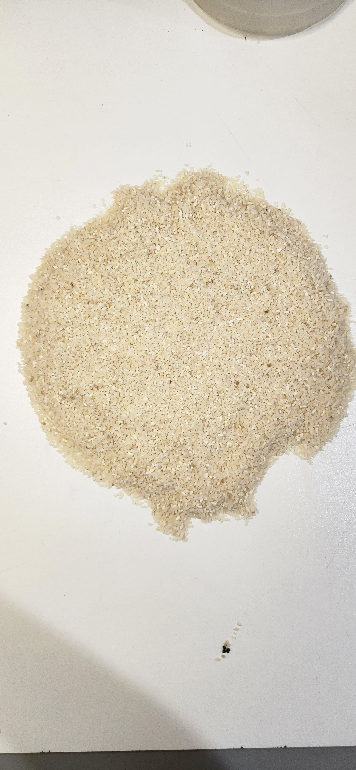 Arroz 45 kg CONSUMO ANIMAL