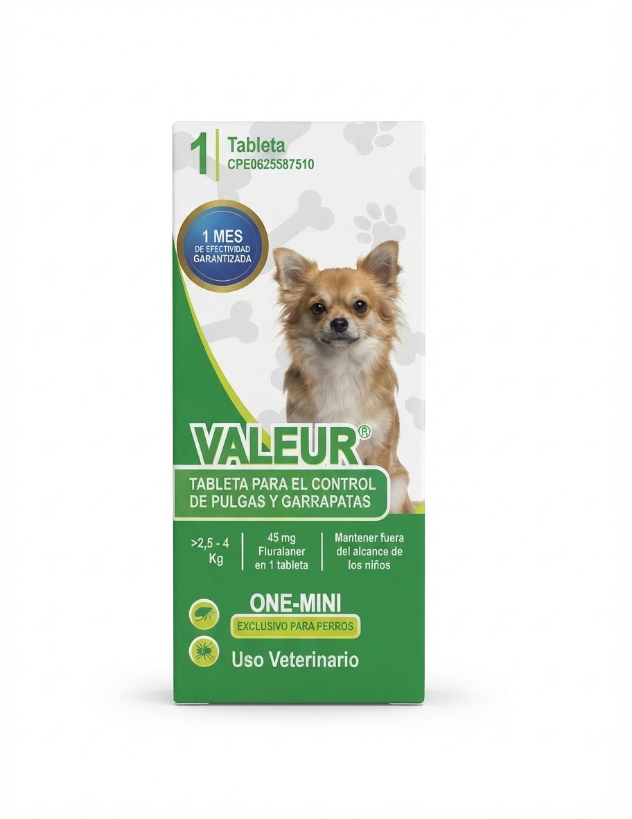VALEUR 2,5 - 4kg KUSS