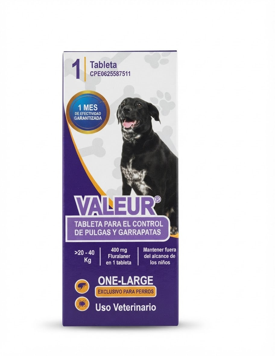 VALEUR 20 - 40kg KUSS