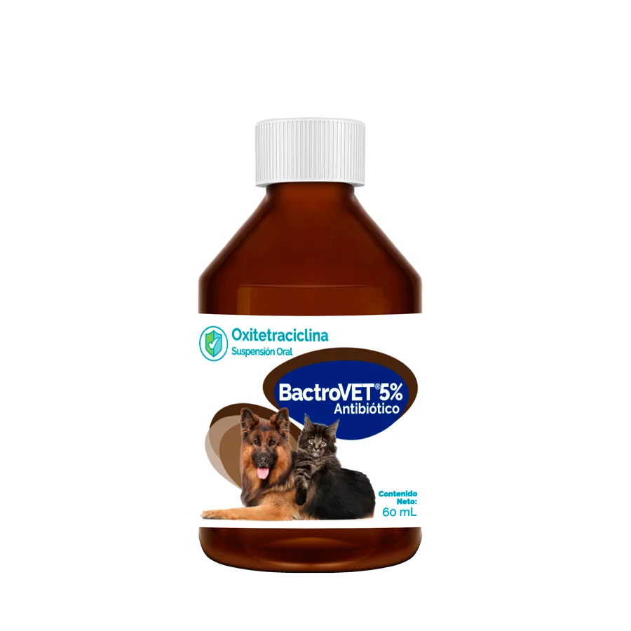 BACTROVET 5% SUSP. ORAL 60 ml