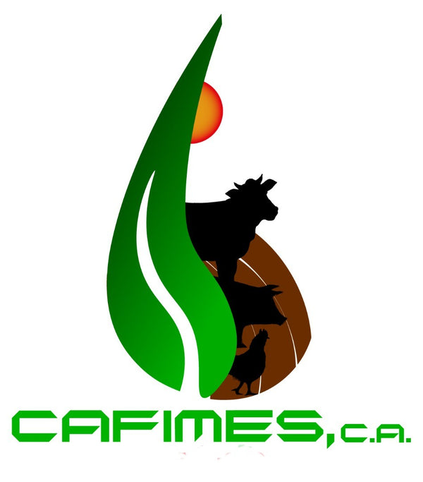 CAFIMES, C.A.
