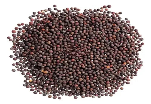 COLZA 1Kg KANTAL