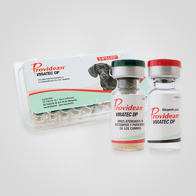 PARVO + DISTEMPER 0,5 ml X 1 Ds VIRATEC DP PROVIDEAN