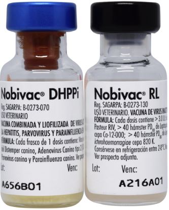 VACUNA NOBIVAC SEXTUPLE x 1 DOSIS