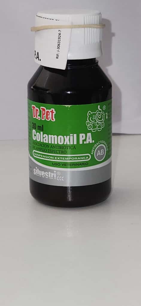 Colamoxil  30ml P.a. Dr Pet Antibiótico Perros y Gatos