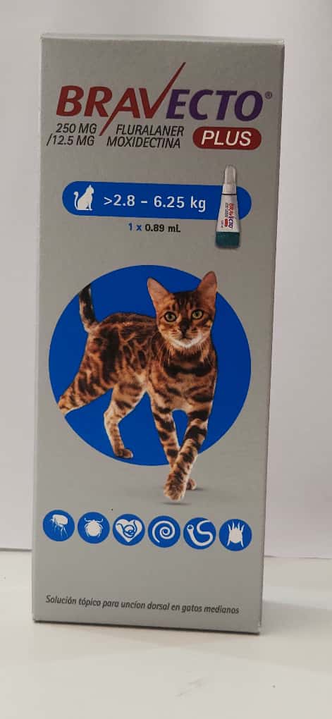Bravecto Plus 2,8 - 6,25 Kg 0,89 ml 250 mg PIPETA Gatos Medianos