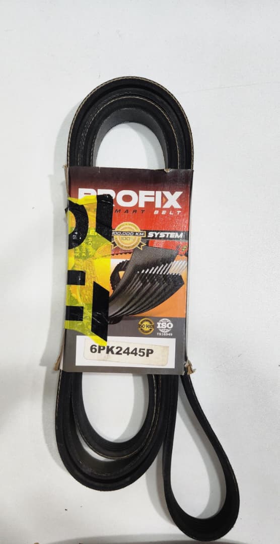 Correa Multicanal Profix 6PK2445