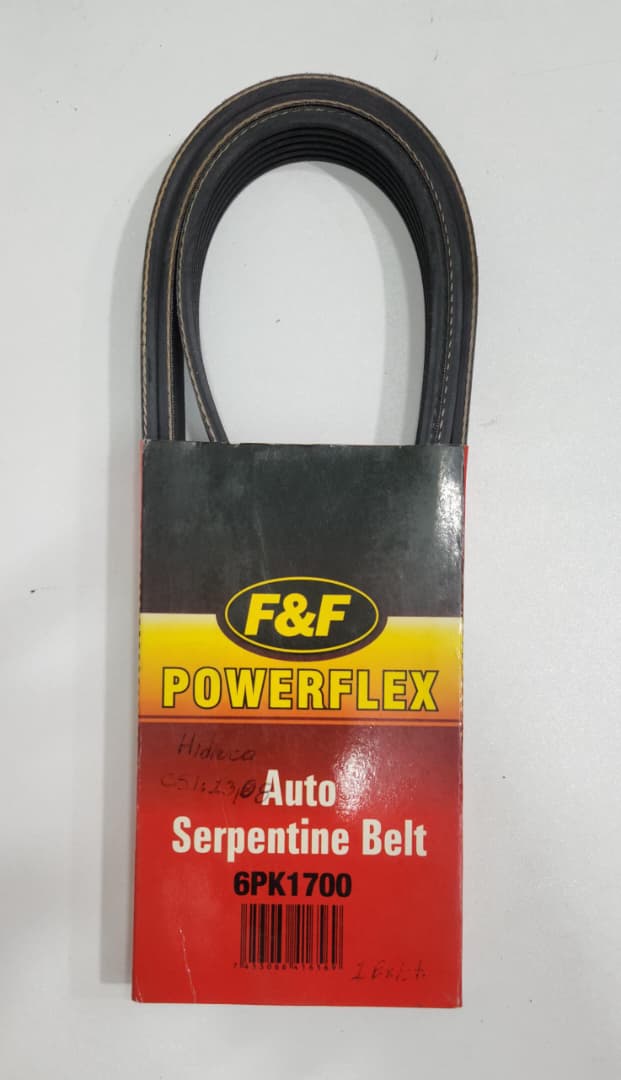 Correa Multicanal F&F 6PK1700