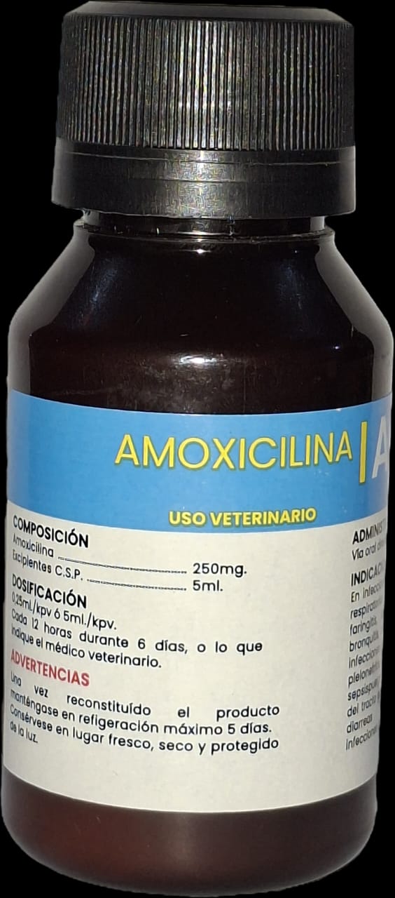 Amox-Sig 50 ml para Perros y Gatos Vía Oral  Amoxicilina