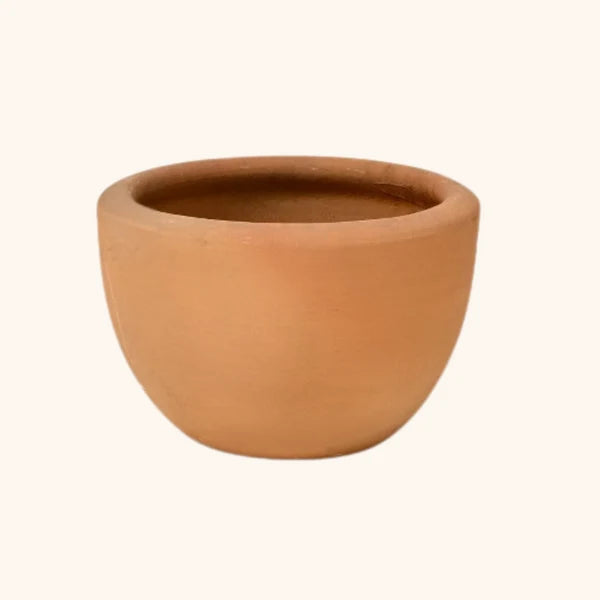 COMEDERO DE ARCILLA